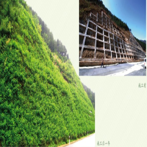 边坡生态修复设计与施工
Design & construction for slope ecological restoration